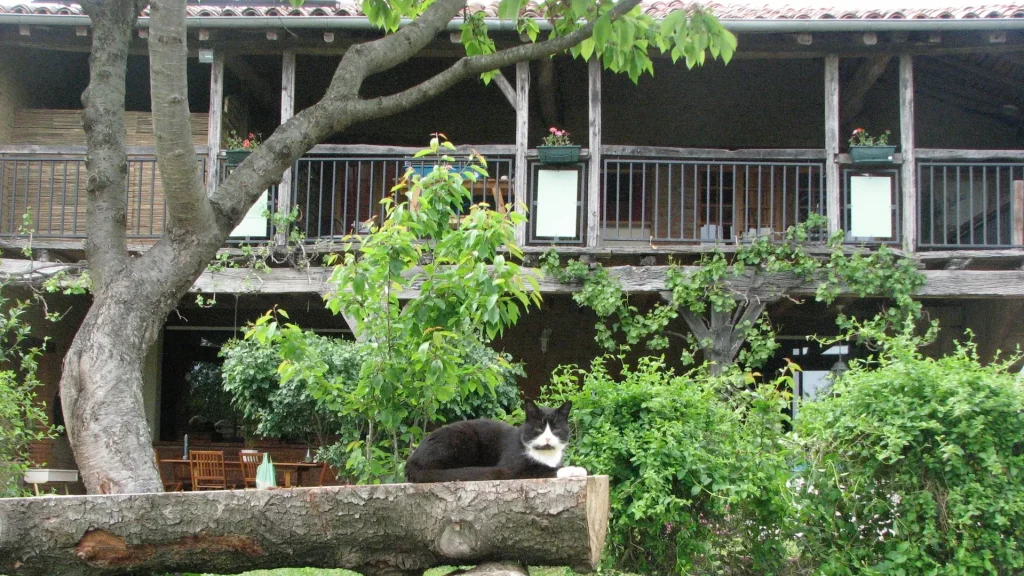 Maison avec balcon fleuri