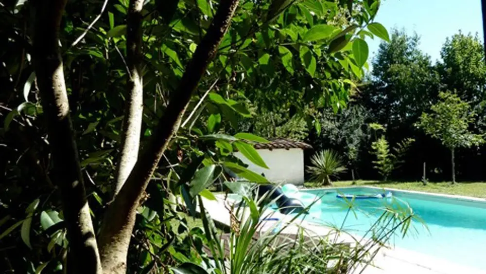 Jardin avec piscine ensoleillée